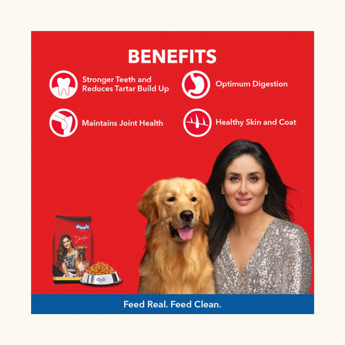 Drools Chicken and Egg Adult Dog Dry Food